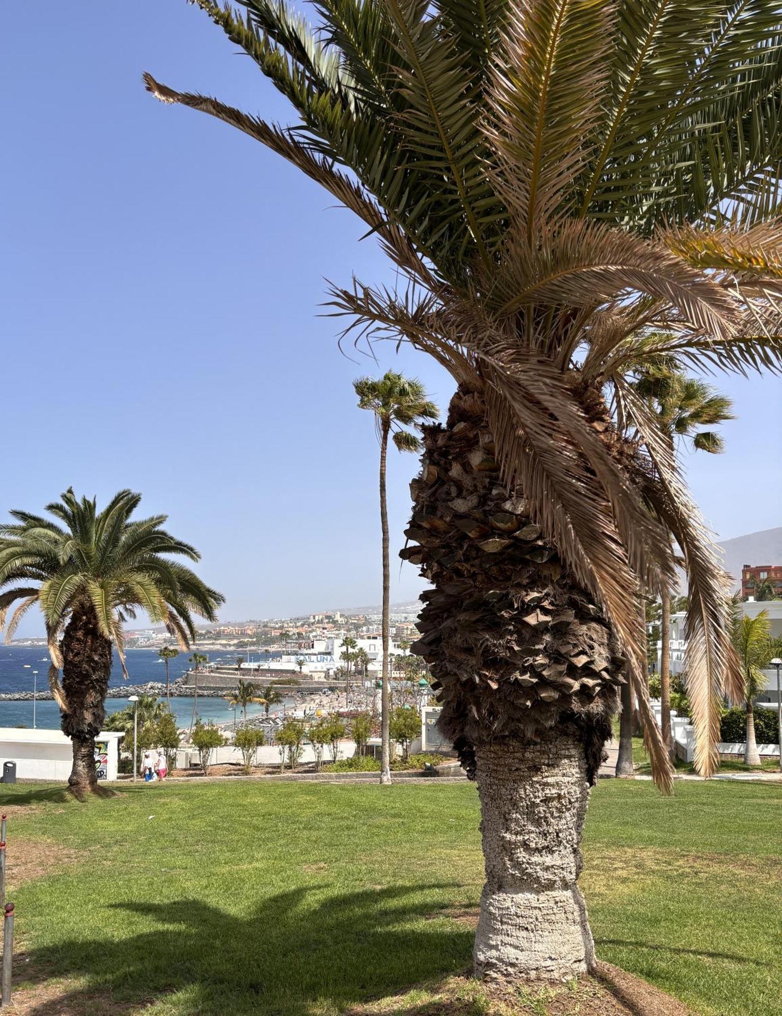 Holiday home Ocean View Near The